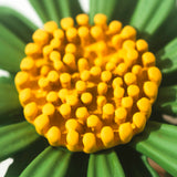 Broche Flor Verde